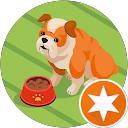 Wesley Hui profile picture